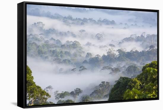 Mist, over Tropical Rainforest, Early Morning, Sabah, Borneo, Malaysia-Peter Adams-Framed Stretched Canvas