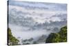 Mist, over Tropical Rainforest, Early Morning, Sabah, Borneo, Malaysia-Peter Adams-Stretched Canvas