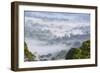 Mist, over Tropical Rainforest, Early Morning, Sabah, Borneo, Malaysia-Peter Adams-Framed Photographic Print