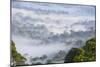 Mist, over Tropical Rainforest, Early Morning, Sabah, Borneo, Malaysia-Peter Adams-Mounted Photographic Print