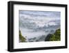 Mist, over Tropical Rainforest, Early Morning, Sabah, Borneo, Malaysia-Peter Adams-Framed Photographic Print