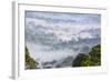 Mist, over Tropical Rainforest, Early Morning, Sabah, Borneo, Malaysia-Peter Adams-Framed Photographic Print