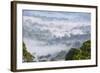 Mist, over Tropical Rainforest, Early Morning, Sabah, Borneo, Malaysia-Peter Adams-Framed Photographic Print