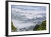 Mist, over Tropical Rainforest, Early Morning, Sabah, Borneo, Malaysia-Peter Adams-Framed Photographic Print