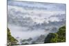 Mist, over Tropical Rainforest, Early Morning, Sabah, Borneo, Malaysia-Peter Adams-Mounted Photographic Print