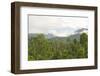 Mist Rises from Primary Rainforest at Dawn-Louise Murray-Framed Photographic Print