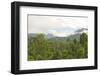 Mist Rises from Primary Rainforest at Dawn-Louise Murray-Framed Photographic Print