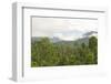 Mist Rises from Primary Rainforest at Dawn-Louise Murray-Framed Photographic Print