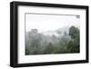 Mist Rises from Primary Rainforest at Dawn-Louise Murray-Framed Photographic Print