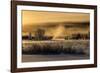 Mist rises from the Snake River on a cold morning, Wyoming-Tim Laman-Framed Photographic Print