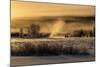 Mist rises from the Snake River on a cold morning, Wyoming-Tim Laman-Mounted Photographic Print