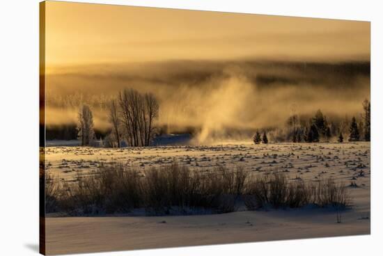 Mist rises from the Snake River on a cold morning, Wyoming-Tim Laman-Stretched Canvas