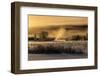 Mist rises from the Snake River on a cold morning, Wyoming-Tim Laman-Framed Photographic Print