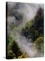Mist Rising After Spring Rain in the Great Smoky Mountains National Park, Tennessee, USA-Adam Jones-Stretched Canvas