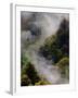 Mist Rising After Spring Rain in the Great Smoky Mountains National Park, Tennessee, USA-Adam Jones-Framed Premium Photographic Print