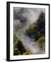 Mist Rising After Spring Rain in the Great Smoky Mountains National Park, Tennessee, USA-Adam Jones-Framed Premium Photographic Print