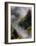 Mist Rising After Spring Rain in the Great Smoky Mountains National Park, Tennessee, USA-Adam Jones-Framed Photographic Print