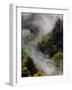 Mist Rising After Spring Rain in the Great Smoky Mountains National Park, Tennessee, USA-Adam Jones-Framed Photographic Print