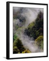 Mist Rising After Spring Rain in the Great Smoky Mountains National Park, Tennessee, USA-Adam Jones-Framed Photographic Print