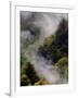 Mist Rising After Spring Rain in the Great Smoky Mountains National Park, Tennessee, USA-Adam Jones-Framed Photographic Print