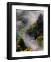 Mist Rising After Spring Rain in the Great Smoky Mountains National Park, Tennessee, USA-Adam Jones-Framed Photographic Print