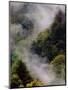 Mist Rising After Spring Rain in the Great Smoky Mountains National Park, Tennessee, USA-Adam Jones-Mounted Photographic Print