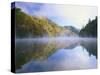 Mist Rising from Milcreek Lake, Natural Bridge State Park, Daniel Boone National Forest, Kentucky,-Adam Jones-Stretched Canvas