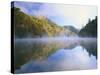 Mist Rising from Milcreek Lake, Natural Bridge State Park, Daniel Boone National Forest, Kentucky,-Adam Jones-Stretched Canvas