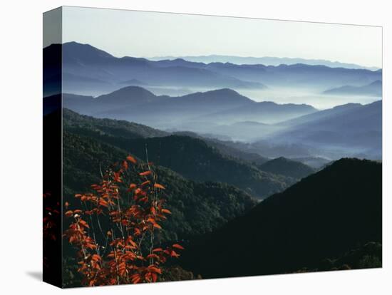 Mist Rising from the Cataloochee Ski Area, Near Maggie Valley, North Carolina, USA-Julian Pottage-Stretched Canvas
