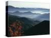 Mist Rising from the Cataloochee Ski Area, Near Maggie Valley, North Carolina, USA-Julian Pottage-Stretched Canvas