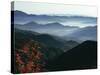 Mist Rising from the Cataloochee Ski Area, Near Maggie Valley, North Carolina, USA-Julian Pottage-Stretched Canvas