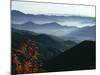 Mist Rising from the Cataloochee Ski Area, Near Maggie Valley, North Carolina, USA-Julian Pottage-Mounted Photographic Print