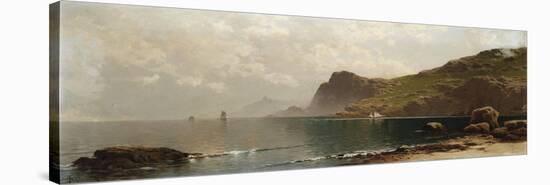 Mist Rising off the Coast-John James Audubon-Stretched Canvas