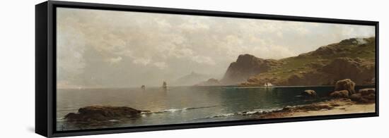 Mist Rising off the Coast-John James Audubon-Framed Stretched Canvas