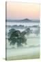 Mist Shrouded Fields Leading-Stephen Spraggon-Stretched Canvas