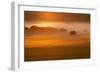 Mist-null-Framed Photographic Print