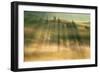 Mist...-Krzysztof Browko-Framed Giclee Print