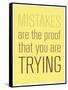 Mistakes-null-Framed Stretched Canvas