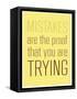Mistakes-null-Framed Stretched Canvas
