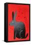 Mister Fluffs-Robert Filiuta-Framed Stretched Canvas