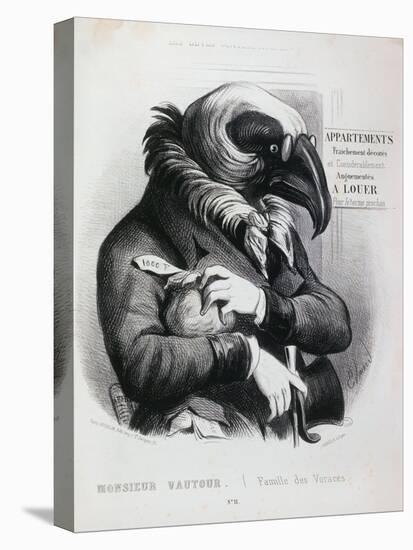 Mister Vulture-Edmond-Stretched Canvas