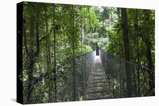 Mistico Arenal Hanging Bridges Park in Arenal, Costa Rica.-Michele Niles-Stretched Canvas