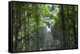 Mistico Arenal Hanging Bridges Park in Arenal, Costa Rica.-Michele Niles-Framed Stretched Canvas