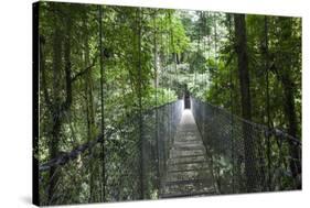 Mistico Arenal Hanging Bridges Park in Arenal, Costa Rica.-Michele Niles-Stretched Canvas