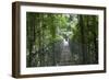 Mistico Arenal Hanging Bridges Park in Arenal, Costa Rica.-Michele Niles-Framed Photographic Print