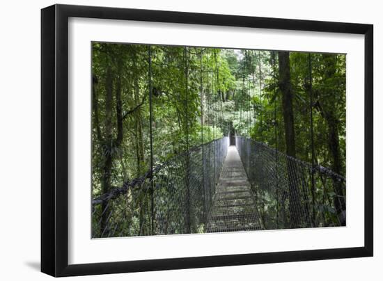 Mistico Arenal Hanging Bridges Park in Arenal, Costa Rica.-Michele Niles-Framed Photographic Print