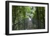 Mistico Arenal Hanging Bridges Park in Arenal, Costa Rica.-Michele Niles-Framed Photographic Print