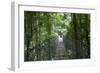 Mistico Arenal Hanging Bridges Park in Arenal, Costa Rica.-Michele Niles-Framed Photographic Print