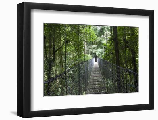 Mistico Arenal Hanging Bridges Park in Arenal, Costa Rica.-Michele Niles-Framed Photographic Print