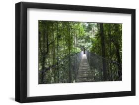 Mistico Arenal Hanging Bridges Park in Arenal, Costa Rica.-Michele Niles-Framed Photographic Print